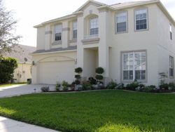 Pre-foreclosure in  RIDGEMOOR CIR Palm Harbor, FL 34685