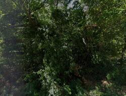 Pre-foreclosure in  DOGAN ST Marshall, TX 75670