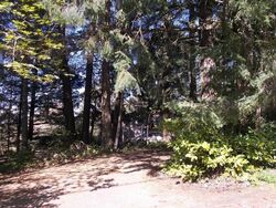 Pre-foreclosure in  NW BROOKS RD Portland, OR 97231