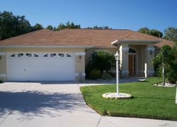 Pre-foreclosure in  63RD ST E Palmetto, FL 34221