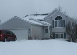 Pre-foreclosure in  LEAF CT Cedar Springs, MI 49319