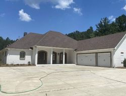 Pre-foreclosure in  DEL RIO DR Brandon, MS 39047