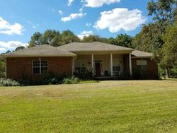  Wild Fern Ln, Tallahassee FL