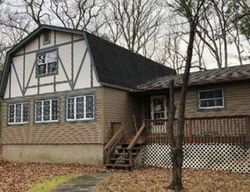 Pre-foreclosure Listing in COLETTE LN DINGMANS FERRY, PA 18328