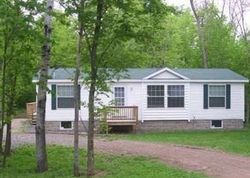 Pre-foreclosure Listing in SUNNY DR PINE CITY, MN 55063