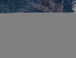  Ozark Rd, Abbeville AL