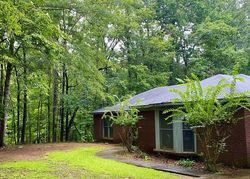 Pre-foreclosure in  GRANT RD Cataula, GA 31804