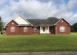 Pre-foreclosure Listing in VIXENHILL DR JESUP, GA 31546