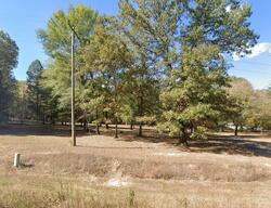 Pre-foreclosure in  OLD PLAIN DEALING RD Plain Dealing, LA 71064