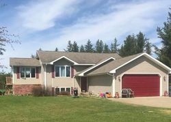 Pre-foreclosure Listing in PUERTO PLATA RD NW BEMIDJI, MN 56601