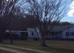Pre-foreclosure Listing in BARKER RD RAY CITY, GA 31645
