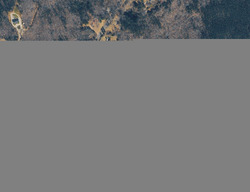 Pre-foreclosure in  CLAYTON RD Jasper, AL 35504