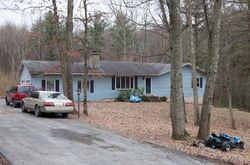 Pre-foreclosure Listing in PINE HOLLOW RD SAYLORSBURG, PA 18353