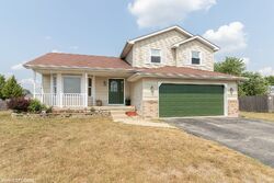 Pre-foreclosure in  RILEY DR Joliet, IL 60431