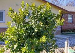 Pre-foreclosure in  WESLEY AVE Sacramento, CA 95823