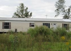 Pre-foreclosure Listing in CORBIN RD COTTONDALE, FL 32431