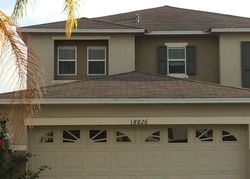 Pre-foreclosure in  SUNTERRA DR Land O Lakes, FL 34638