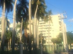  Nw 7th St , Miami FL