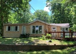 Pre-foreclosure Listing in BRUSHY MOUNTAIN RD EAST STROUDSBURG, PA 18302
