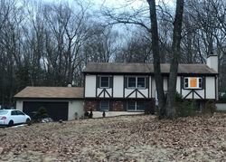 Pre-foreclosure Listing in BALSON RD STROUDSBURG, PA 18360