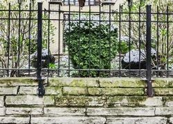 Pre-foreclosure in  N SPAULDING AVE  Chicago, IL 60659