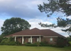 Pre-foreclosure Listing in OLD HIGHWAY 24 HATTIESBURG, MS 39402