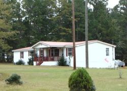 Pre-foreclosure in  COUNTY ROAD 79 S Clayton, AL 36016