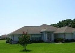 Pre-foreclosure Listing in NW 249TH TER HIGH SPRINGS, FL 32643