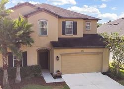 Pre-foreclosure in  VERMILLION SKY DR Wesley Chapel, FL 33544