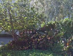  Inlet Way , West Palm Beach FL