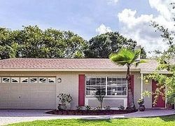 Pre-foreclosure in  THORNWOOD DR Tampa, FL 33618