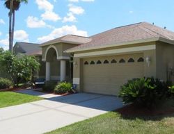 Pre-foreclosure in  CYPRESS SHADOW AVE Tampa, FL 33647
