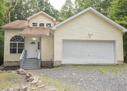 Pre-foreclosure Listing in WOOD THRUSH CIR BUSHKILL, PA 18324