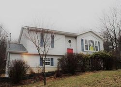 Pre-foreclosure Listing in SKYLINE DR BLAKESLEE, PA 18610