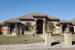 Pre-foreclosure Listing in HECTOR DR ALAMO, TX 78516