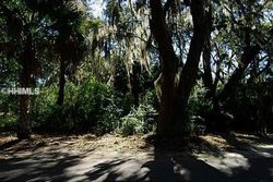 Pre-foreclosure in  WINDING OAK DR Okatie, SC 29909