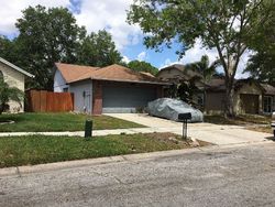 Pre-foreclosure in  FRIARSWAY DR Tampa, FL 33624