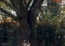 Pre-foreclosure in  ADKINS RD NW Atlanta, GA 30331