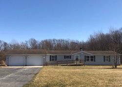 Pre-foreclosure Listing in WILLIAMS RD WESTVILLE, IN 46391