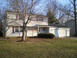 Pre-foreclosure Listing in DOUGLAS CT LORAIN, OH 44053