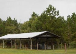 Pre-foreclosure Listing in HARDEN CHAPEL RD LYONS, GA 30436