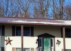 Pre-foreclosure in  ONEIDA VALLEY RD Parker, PA 16049