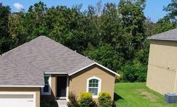 Pre-foreclosure Listing in VALHALLA DR TAVARES, FL 32778