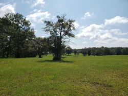 Pre-foreclosure in  JACKS BRANCH RD Cantonment, FL 32533