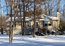 Pre-foreclosure Listing in SELLERSVILLE DR EAST STROUDSBURG, PA 18302