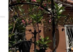 Pre-foreclosure in  SW 14TH ST Miami, FL 33184
