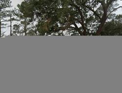 Pre-foreclosure in  ALLIGATOR RD Effingham, SC 29541