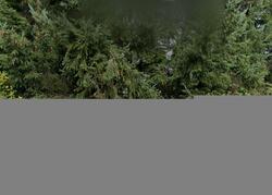 Pre-foreclosure in  SW GORSUCH RD Vashon, WA 98070