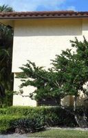  Fox Hollow Dr Apt G, Boca Raton FL