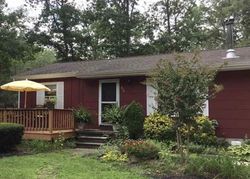 Pre-foreclosure in  PERRY RD Woodbine, NJ 08270